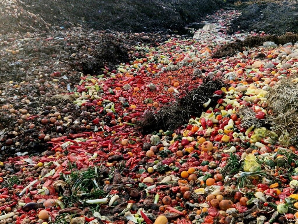 Food waste in the United States