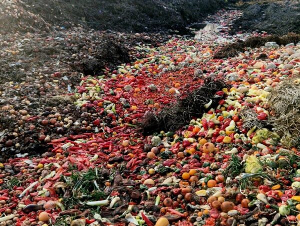 Food waste in the United States
