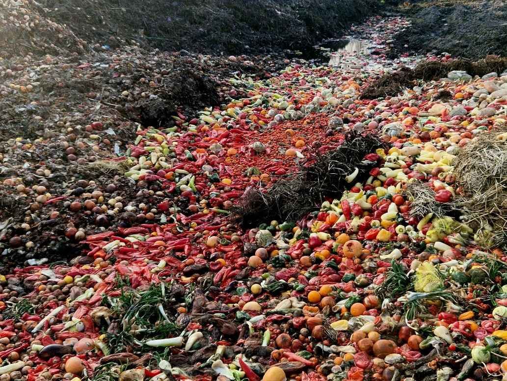 Pile of food waste in a landfill, highlighting the issue of food wastage in Franklin, TN