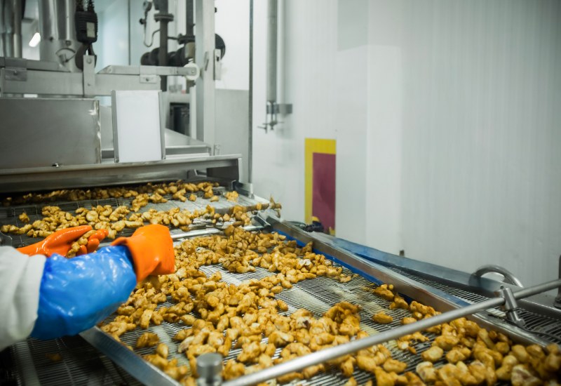 A worker sorting waste food pieces on a conveyor in a processing facility in Georgia